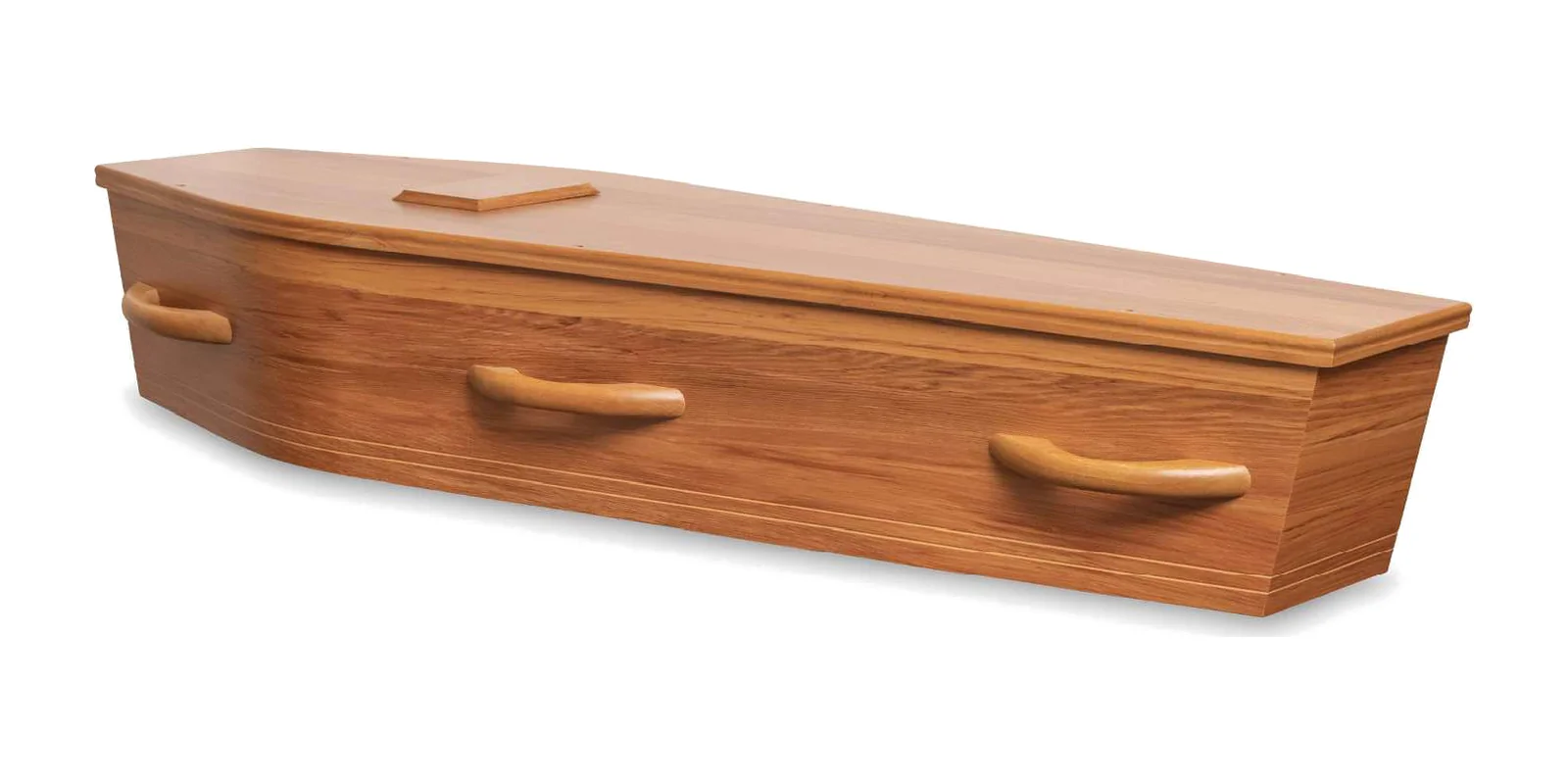 Kotuku