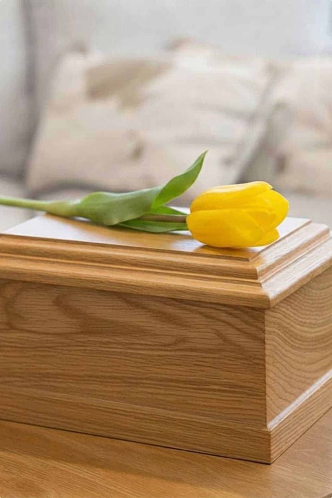 A yellow tulip resting on a wooden casket